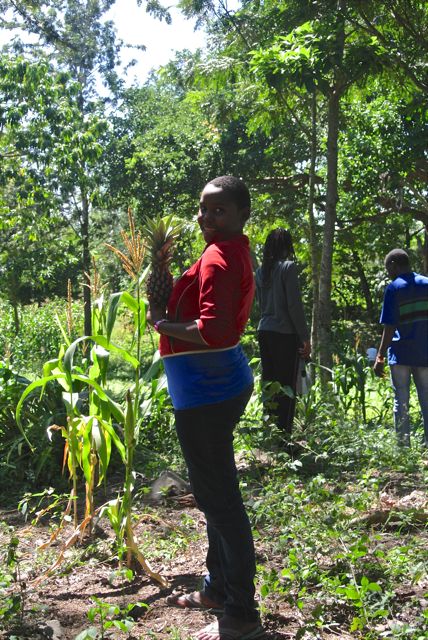 Irene found a pineapple at the shamba! 