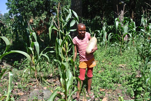 Winnie holding a large sausage fruit! 