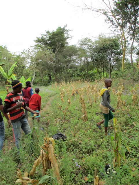 Students from the day school and children from our children's home working together. 