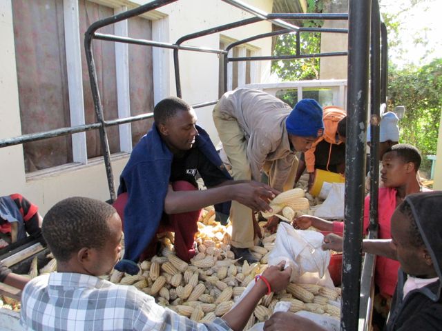 Students unloading the first truck load. 