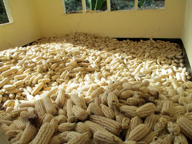 The store room after one truck load. 