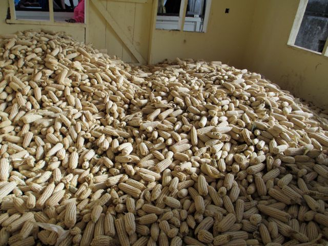 Part way through the second truck load. 