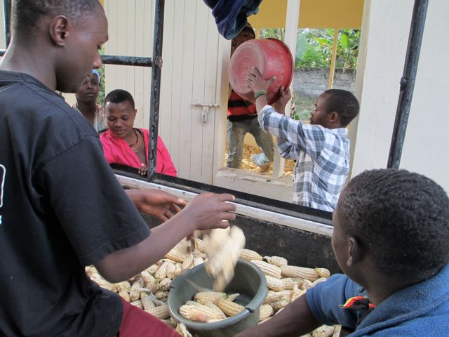 Students and teachers working together to unload the maize. 