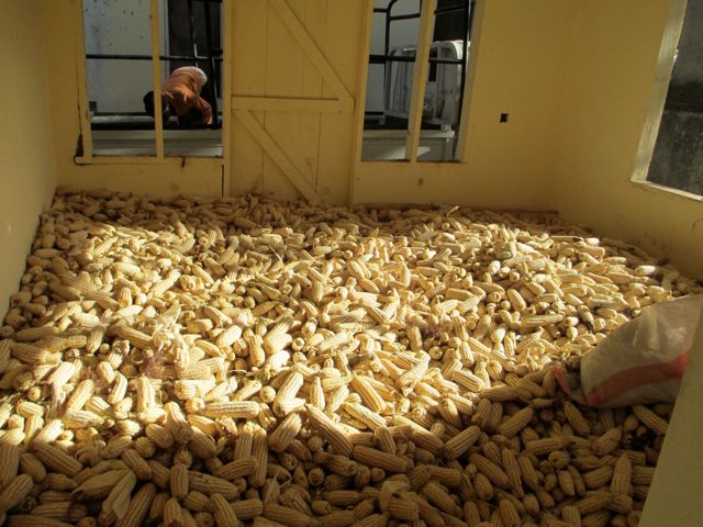 The result of all our hard work today! 